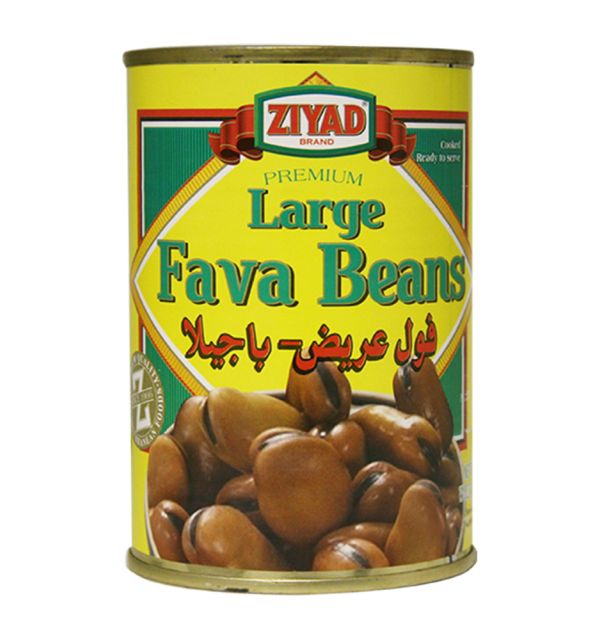 Premium Large Fava Beans 1-Can Cooked 15 oz. Regular