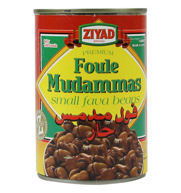 Ziyad Spicy Foule MLudammas 15oz Regular