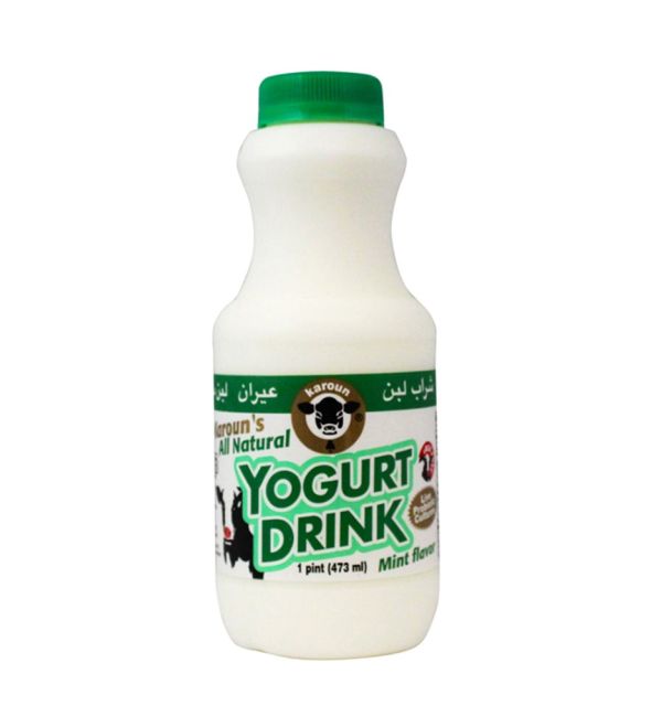 Karoun Yogurt Drink Mint 453g