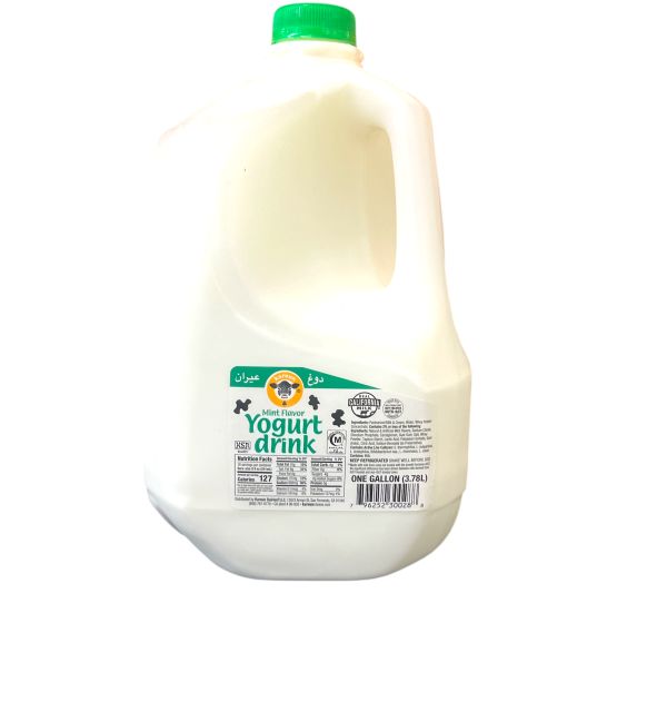 Karoun Mint Yogurt Drink 1gl