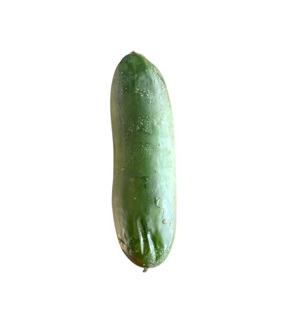 Mexican Fancy Cucumber 1lb.