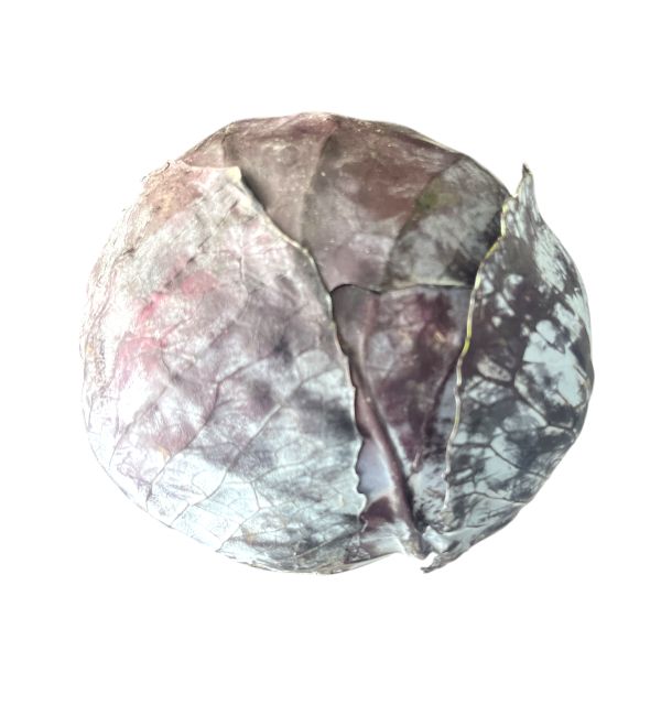 Red Cabbage 1lb.