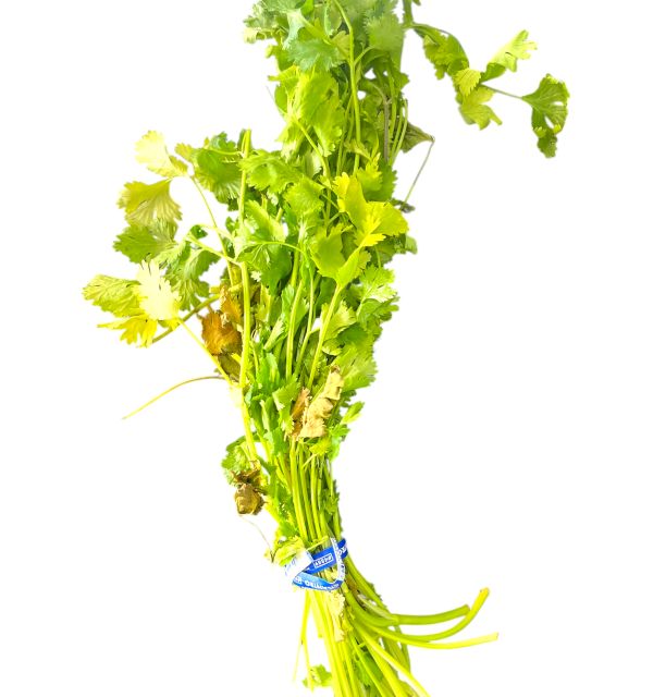 Cilantro 1 Bunch