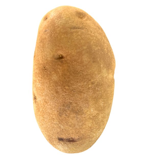 Idaho Potato 1lb.