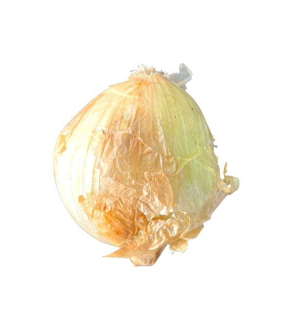 Yellow Onion 1lb.