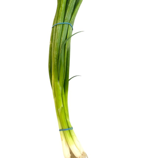 Green Onion 1 bunch