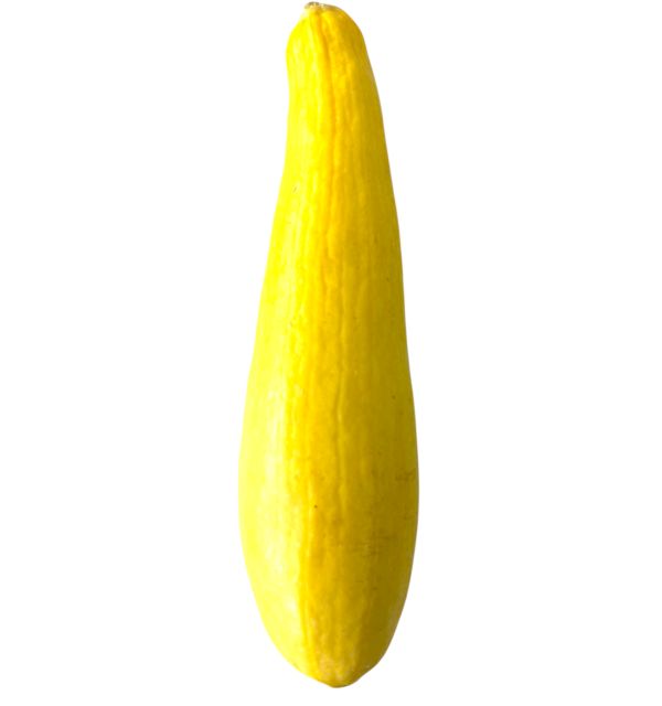 Yellow Squash 1lb.