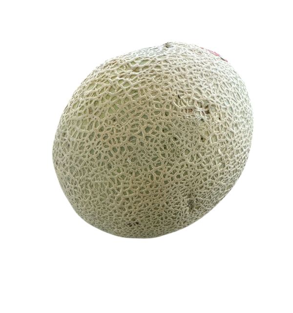 Cantaloupe - 9