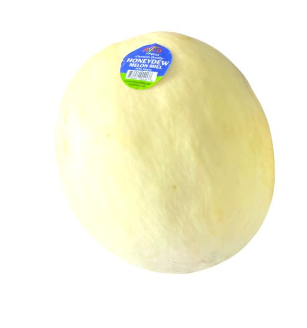 Honey Dew Melon (1)