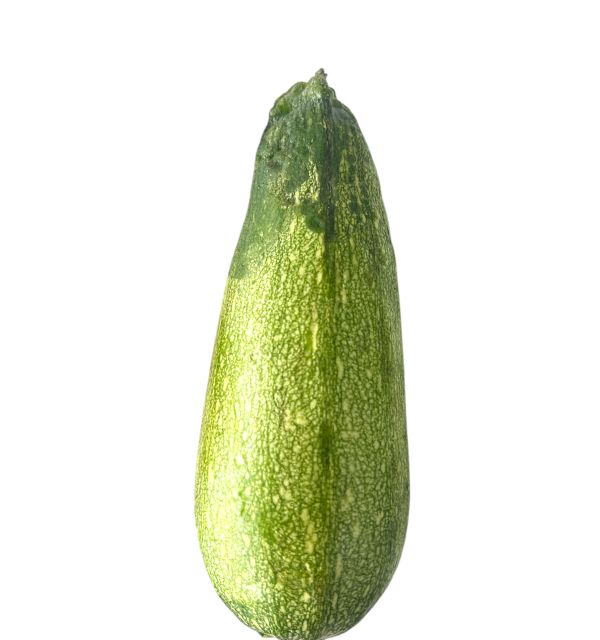 Mediterranean Kusa 1lb.