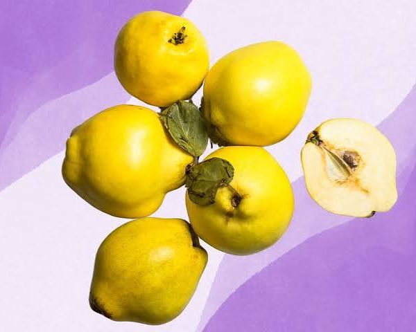QUINCE 