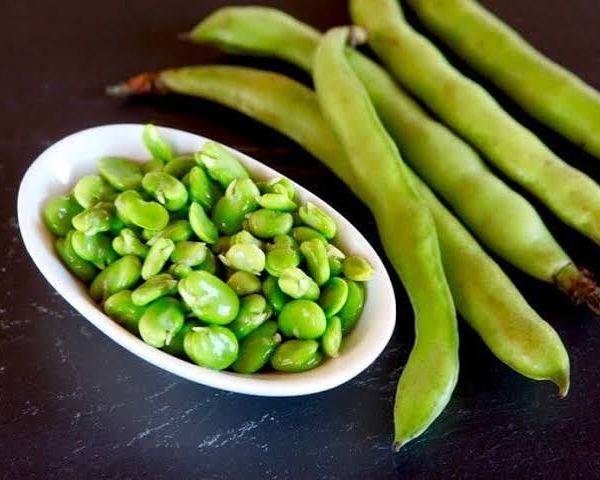 GREEN FAVA 