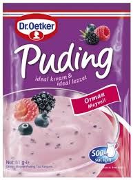 DR. OETKER PUDING ORMAN MEYVELI 