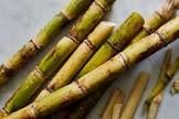 SUGAR - CANE 